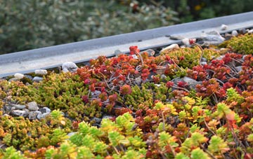 the cost of Penifiler green roof installation