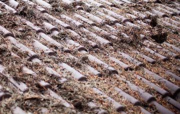 Penifiler roof cleaning companies