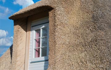 Penifiler thatch roof disadvantages
