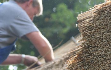 professional Penifiler thatchers